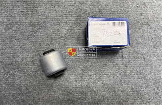 Cao su càng I xe BMW X3F25 X4F26