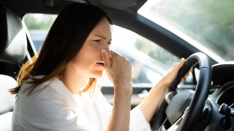 Cách xử lý nội thất ô tô bị ẩm, mốc, có mùi sau mưa lớn